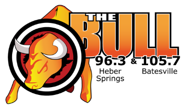 the-bull-logo2x