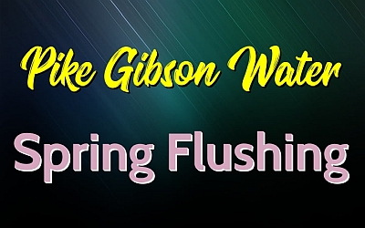 pike-gibson-water-spring-flushing
