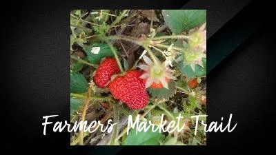 farmers-market-trail