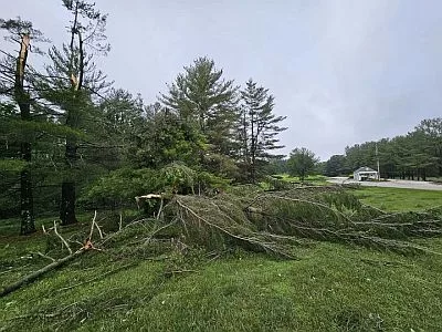 west-boggs-park-storm-damage