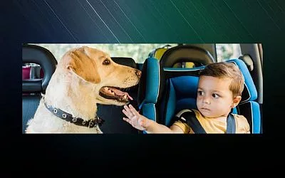 kids-pets-and-hot-cars