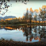 Sarah-Cox-Taken-at-the-gold-fields-pond-a-few-years-back.