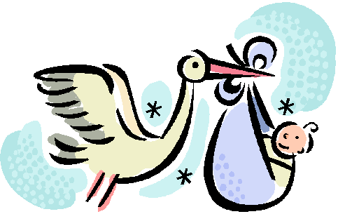 stork-28
