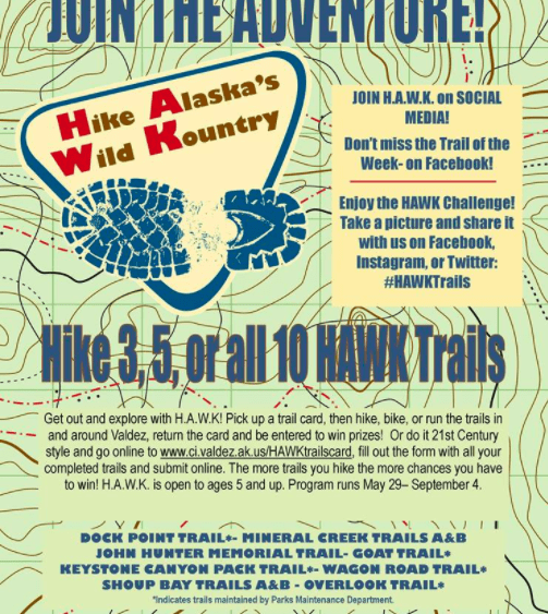hawk-flyer-2017