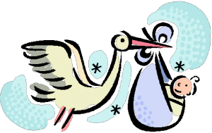 stork-300x189-300x189-14