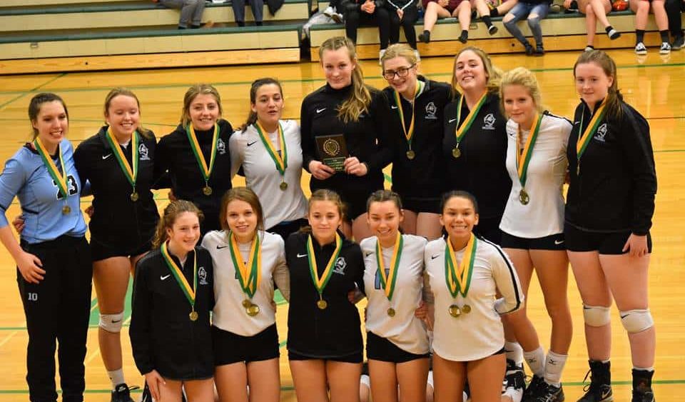 vhs-volleyball-40-delta