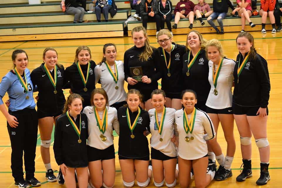 vhs-volleyball-40-delta