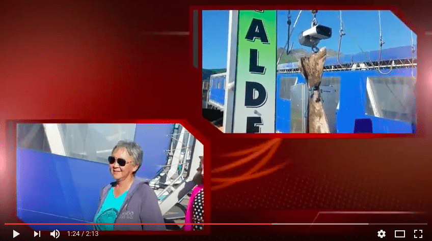 halibut-record-video