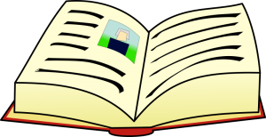 book-2-300x154-3