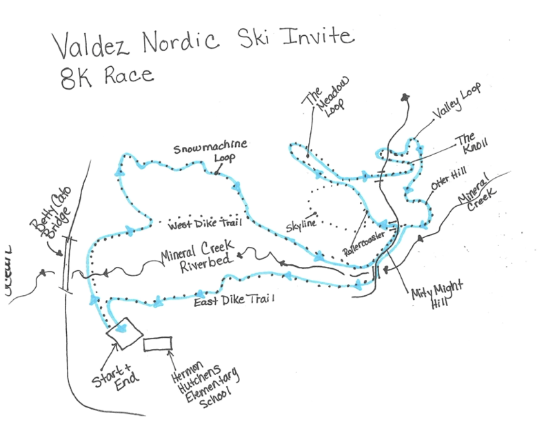 Nordic-Ski-Race