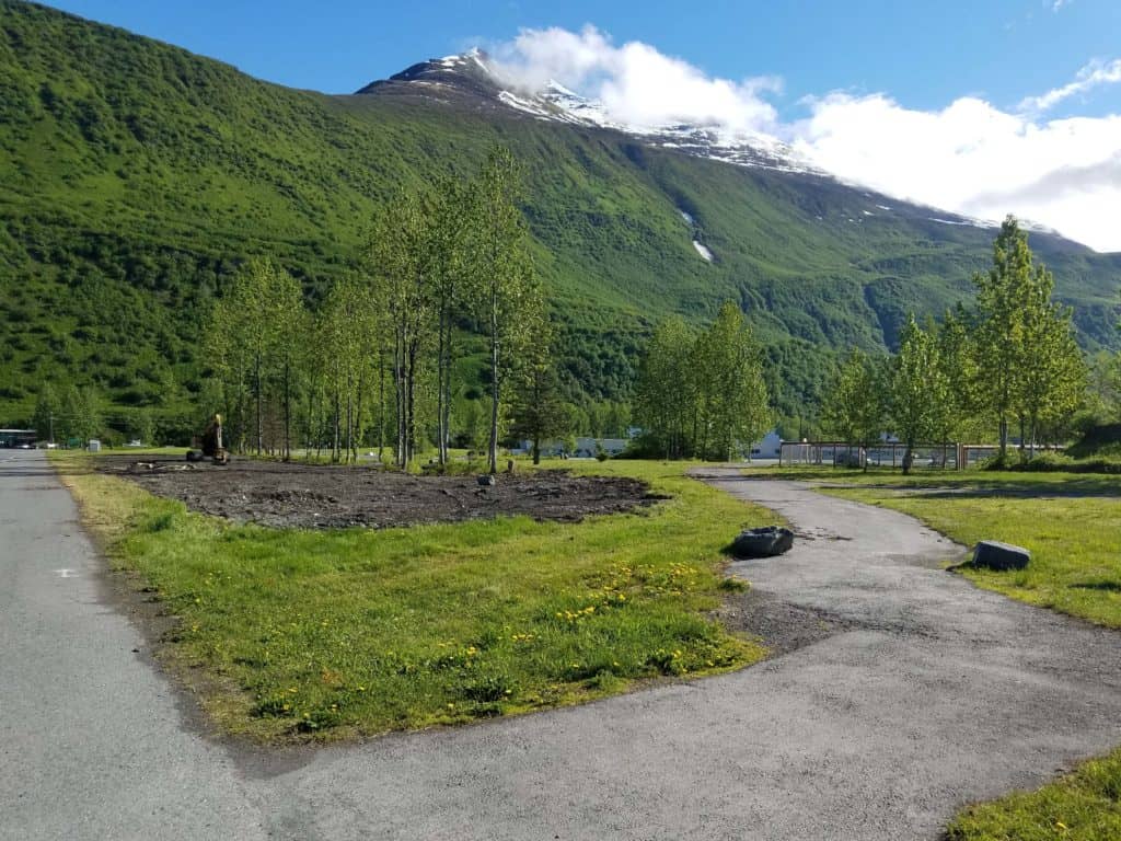 area-in-front-of-dog-park-on-meals-getting-a-facelift-in-2018-2
