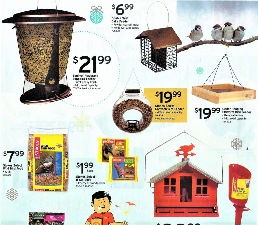 sch-flyer0002