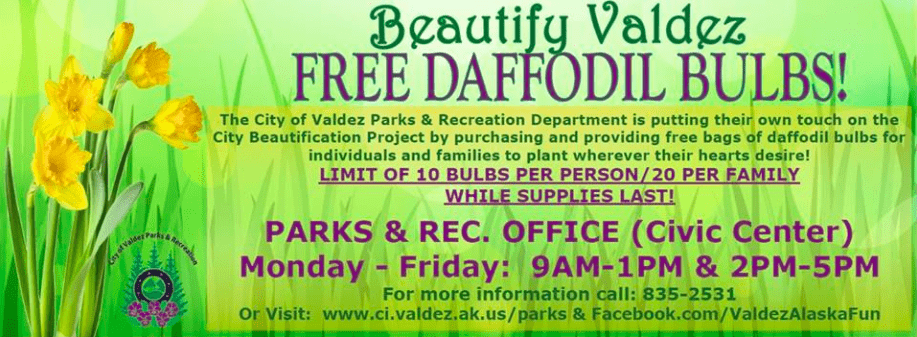 free-daffodil-ad