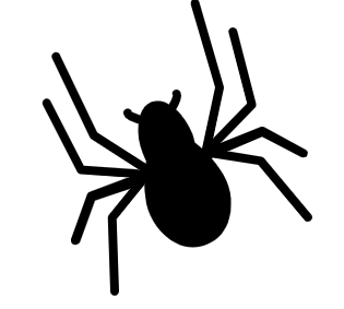 spider