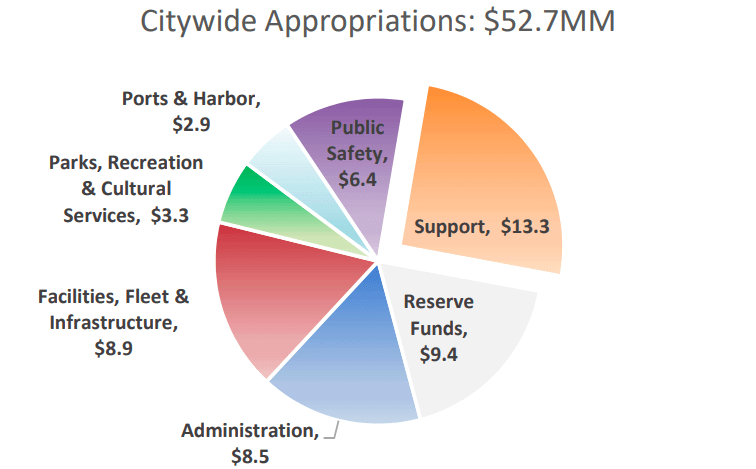 citywide-appropriations-2019-budget