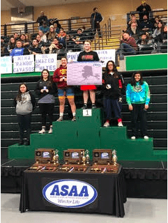 vhs-at-state-wrestling-2018-4