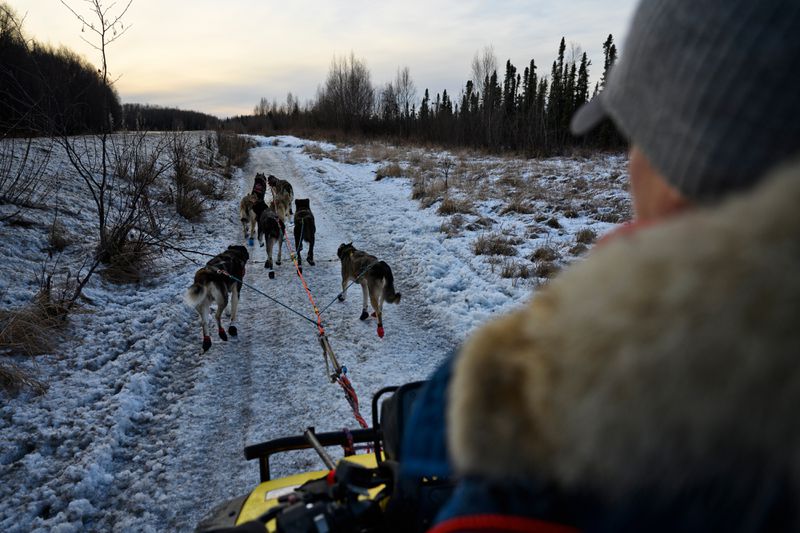 a47wizmgvvaavgttk7qji7bmk4-2