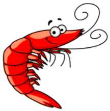 shrimp-3