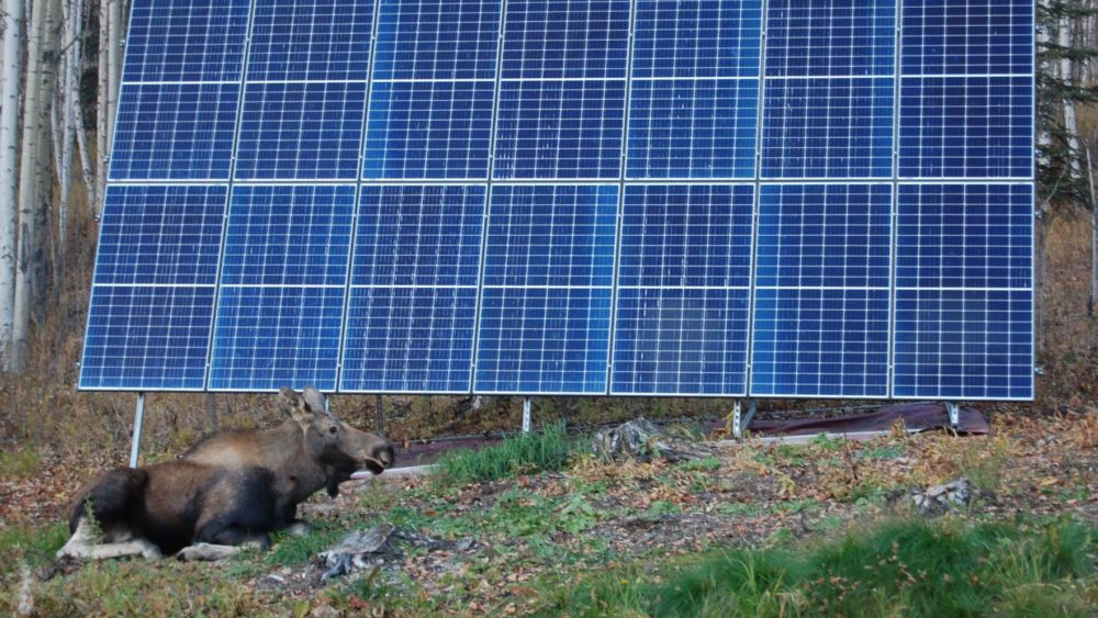 6080f3b44ba51-image_