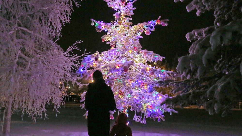 5deb22867509d-image_