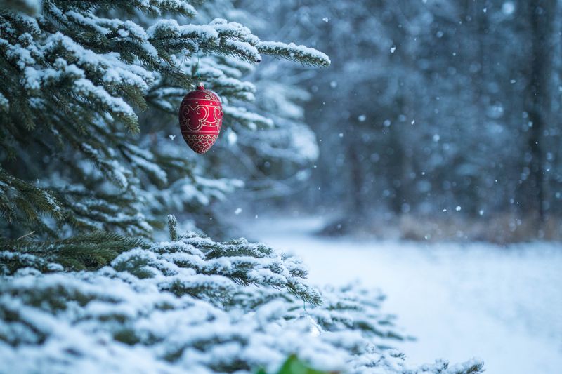 fimsbukeivcr5hr7kegl3tnxtq-2