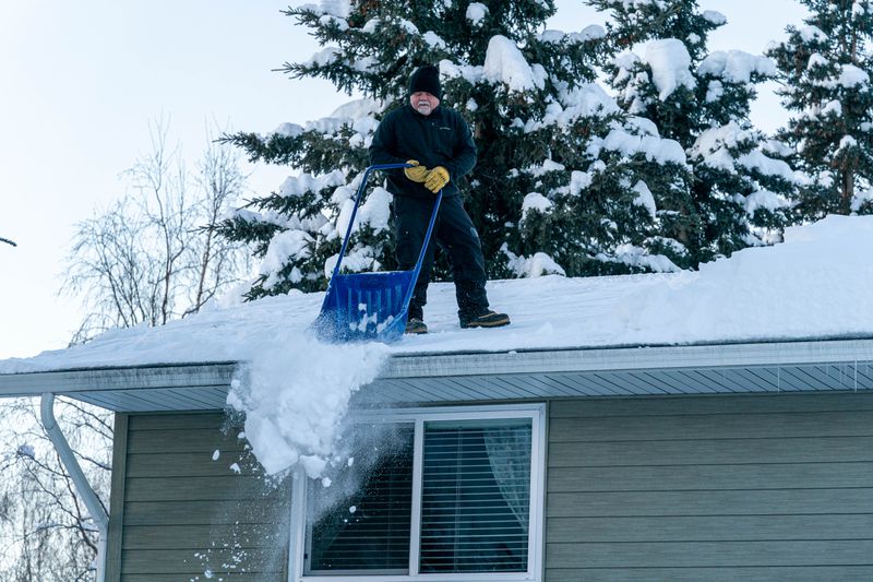 mvh5y4kmxrfexnxs5efrm76x2q