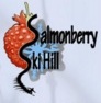 salmonberry-ski-hill