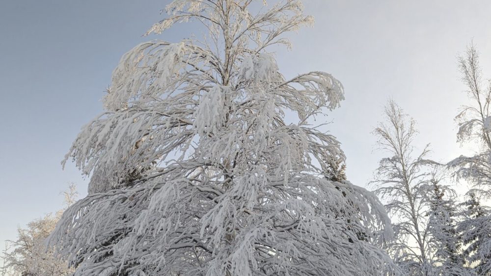 6390089d9bf05-image_