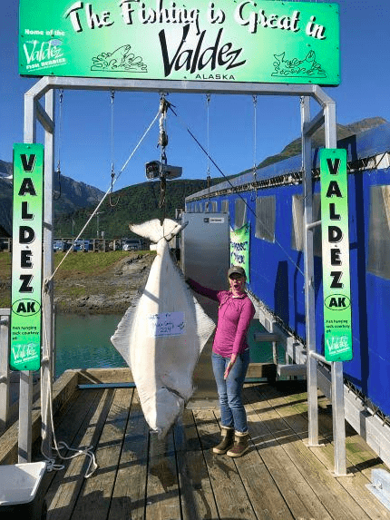 mickia-cenker-fairbanks-ak-224-0-lbs-on-august-16-halibut-grove-2