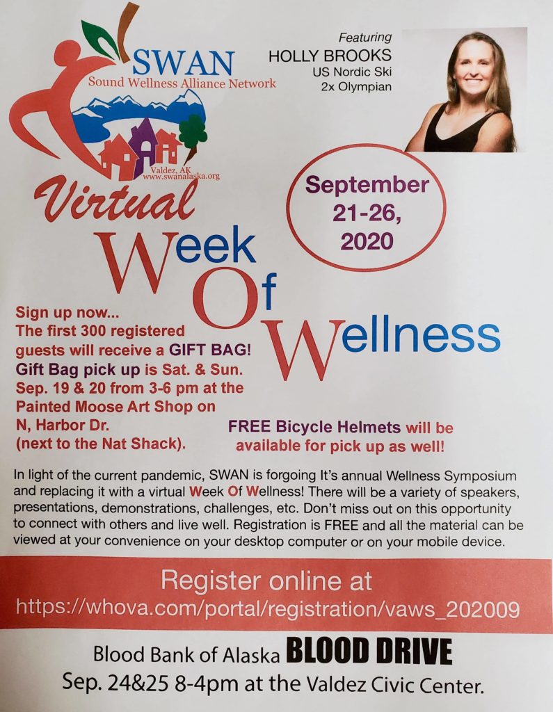 swan-wow-flier-2