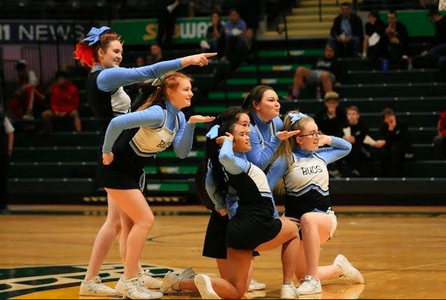 19-bball-state-boys-vhs-v-acs-cheer-2
