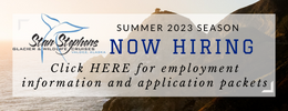Stan Stephens Hiring