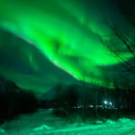 Northern-Lights-Courtesy-of-Celeste-Addison