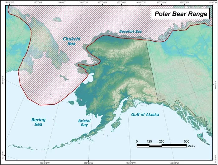 The range of polar bears on land and sea ice around Alaska. Alaska Department of Fish and Game graphic