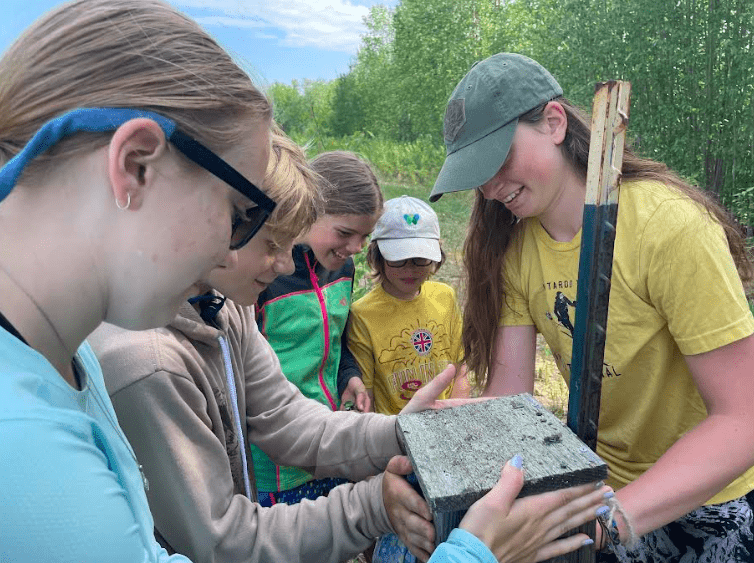 Helpers with the Alaska Songbird Institute’s Swallow Ecology Project prepare to capture a black-capped chickadee that is nesting in a swallow box at Creamer’s Field Migratory Waterfowl Refuge in Fairbanks. Photo by Ned Rozell.