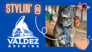 Grab stylish gear at Valdez Brewing! Hats, T-shirts, glassware, even leashes and collars for your pup. We’re walking distance from the harbor and RV parks.