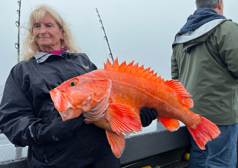 Bonnie Woods caught this yelloweyed rockfish on July 6th. It weighed 20.0 lbs  which qualifies for a state trophy fish certificate. 