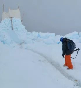 Craig George looks at polar bear tracks near an observing “perch” he and other biologists built on sea ice north of Utqiagvik in May 2010. The canvas on top is wrapped around two-by-fours to break the wind. Photo by Ned Rozell