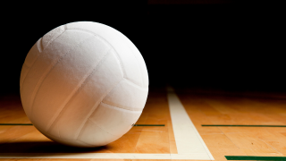 Volleyball Web Image