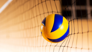 Volleyball Web Image