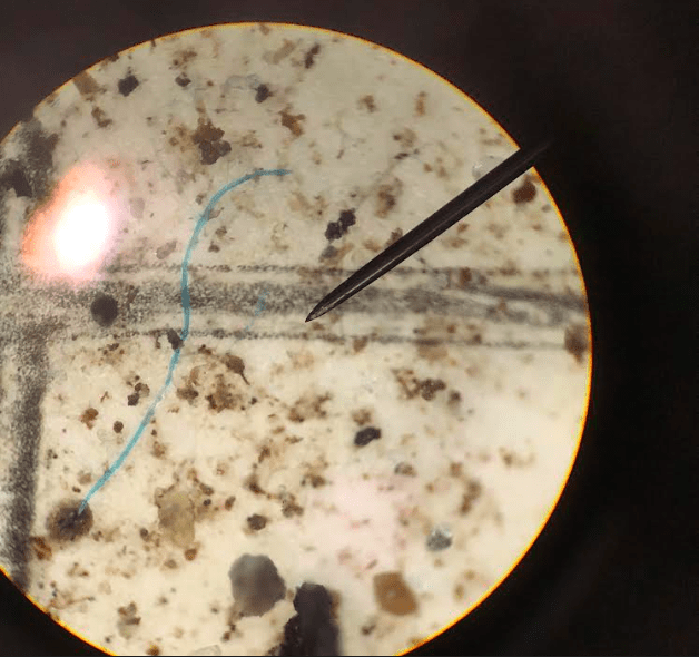 A tiny blue plastic fiber that fell within a raindrop in the Thane area of Juneau, Alaska. The view is of filter paper that captured the plastic fiber, as viewed through a microscope. Photo courtesy Sonia Nagorski.