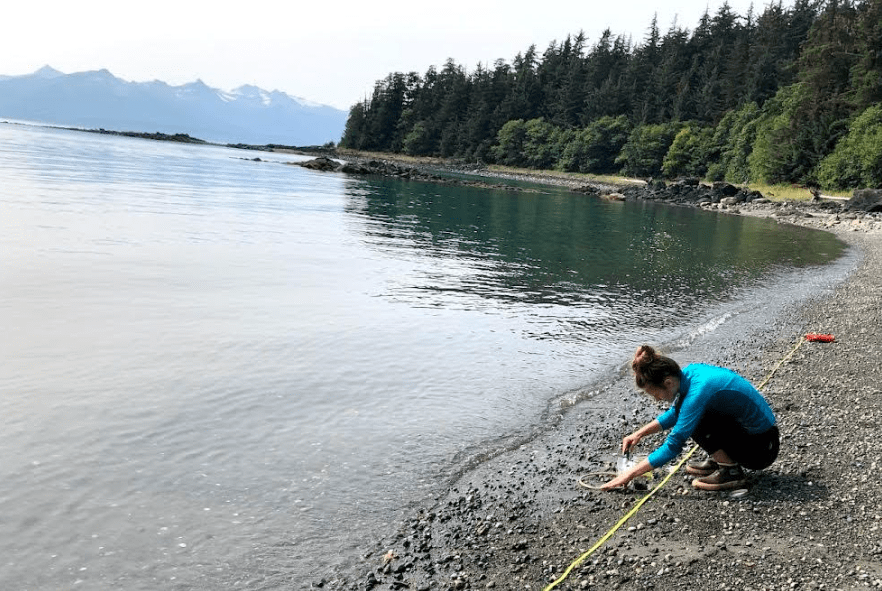 University of Alaska Southeast graduate student Muriel Walatka gathers samples of beach sand to examine for microplastics at Auke Recreation Area in Juneau in August 2019. Photo courtesy Sonia Nagorski.