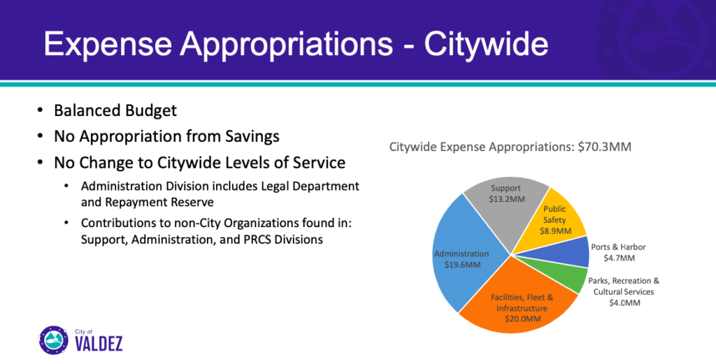 City Manager Budget 2024 thumb