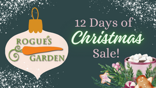 ATTACHMENT DETAILS Rogues-12-Days-of-Christmas-sale