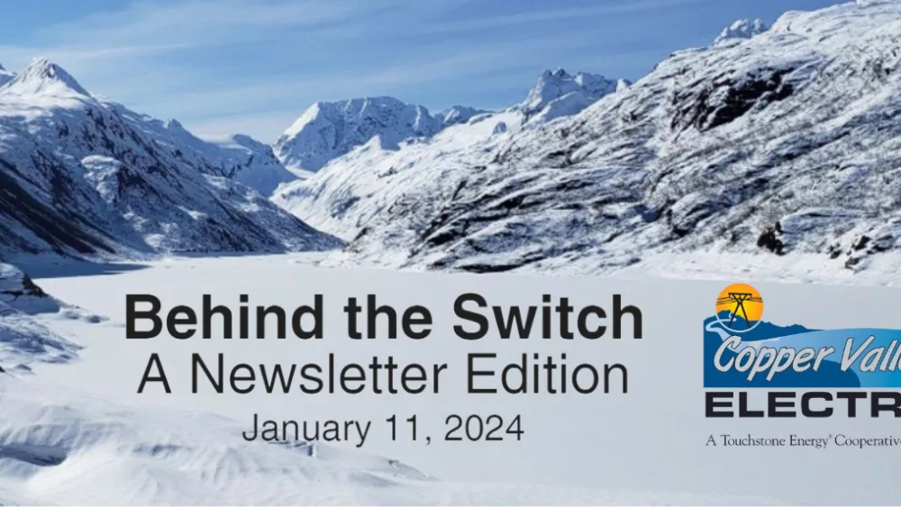 Behind the Switch, CVEA newsletter-header..