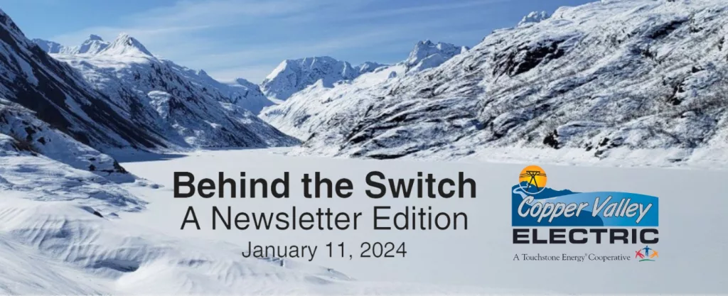 Behind the Switch, CVEA newsletter-header..