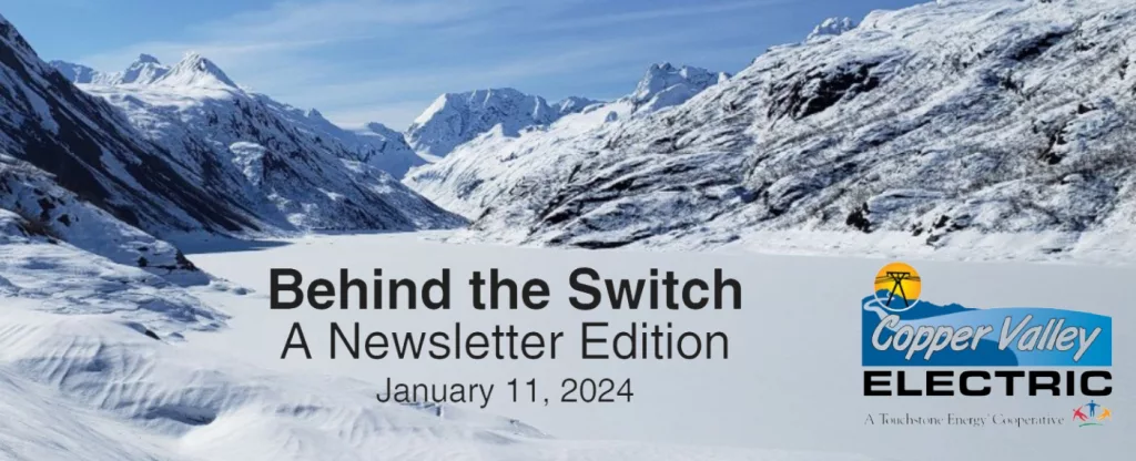 Behind the Switch, CVEA newsletter-header