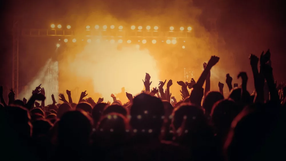 People At Music Concert HD Background