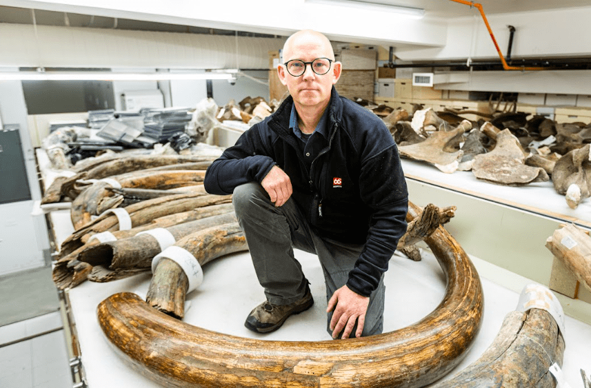 UAF photo by JR Ancheta Matthew Wooller, a professor in the UAF College of Fisheries and Ocean Sciences, sits among mammoth tusks in the collection at the University of Alaska Museum of the North.