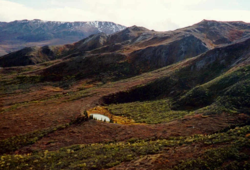 A volcanic crater northeast of Healy, Alaska, that is part of the Buzzard Creek maars. Photo by Chris Nye.